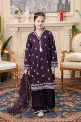 Self Designed and Embroidered Mid Seasoned Cotton -3Pcs Suit