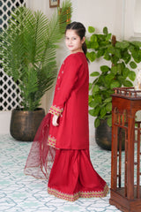 Self Designed and Embroidered Cotton Mid Season