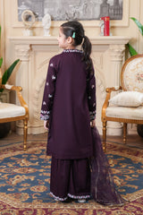 Self Designed and Embroidered Mid Seasoned Cotton -3Pcs Suit