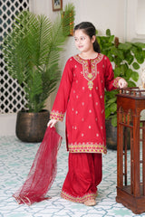 Self Designed and Embroidered Cotton Mid Season
