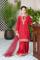 Self Designed and Embroidered Cotton Mid Season