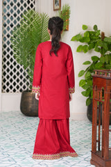 Self Designed and Embroidered Cotton Mid Season