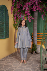 Grey Embroidered Girls Kurta Trouser Set